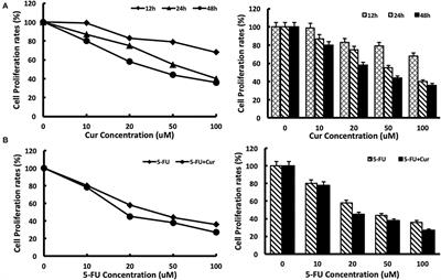 Proteomic analysis of the chemosensitizing effect of curcumin on CRC cells treated with 5-FU